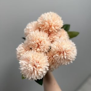 Gaiši rozā krizantēmas