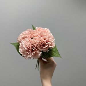 Tumši rozā krizantēmas