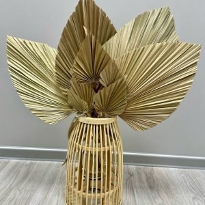 Kaltētas boho palmu lapas - lielās