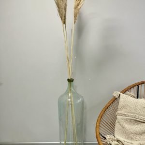 Vīna stikla krūka - cilindra formas